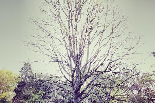 studio dev — photo 5